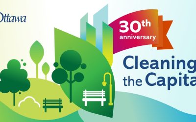 Grand ménage de la capitale — Ruisseau Sawmill