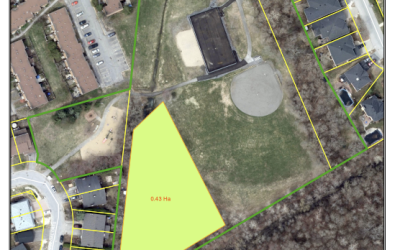 Plantation d’arbres dans le parc Windsor