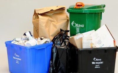 Confirm Your Waste and Recycling Collection Schedule